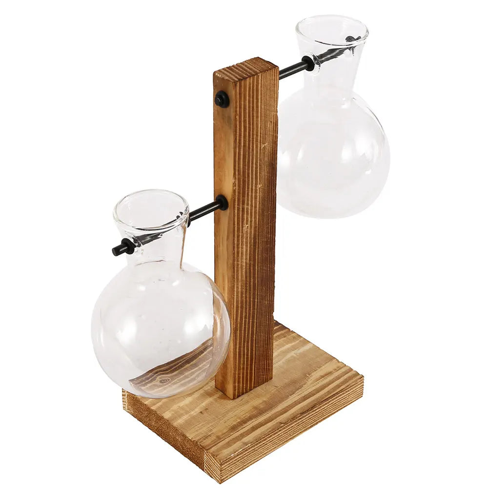 Glass Hydroponic Bud Vase