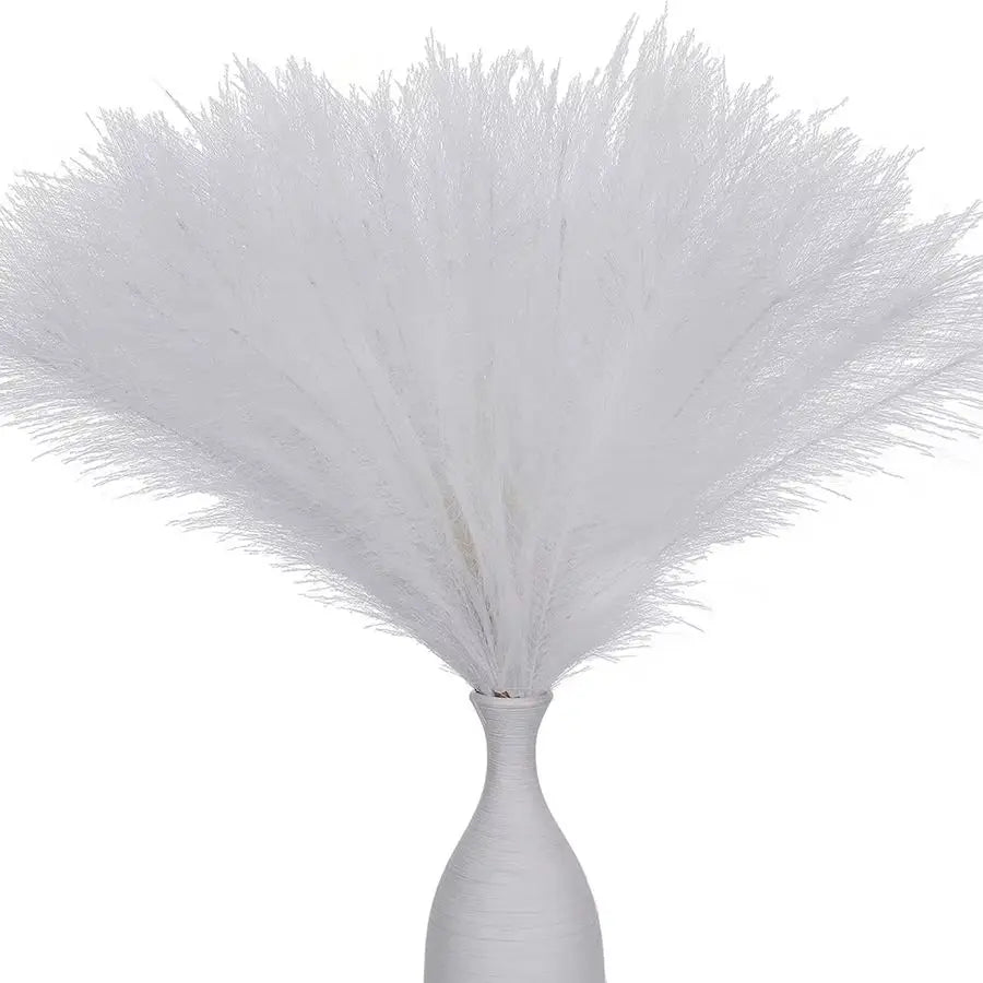 Pampas Grass Stems