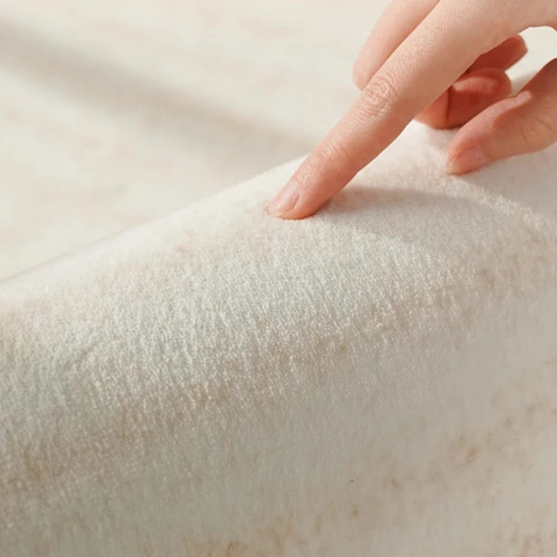 Washable Plush Area Rug