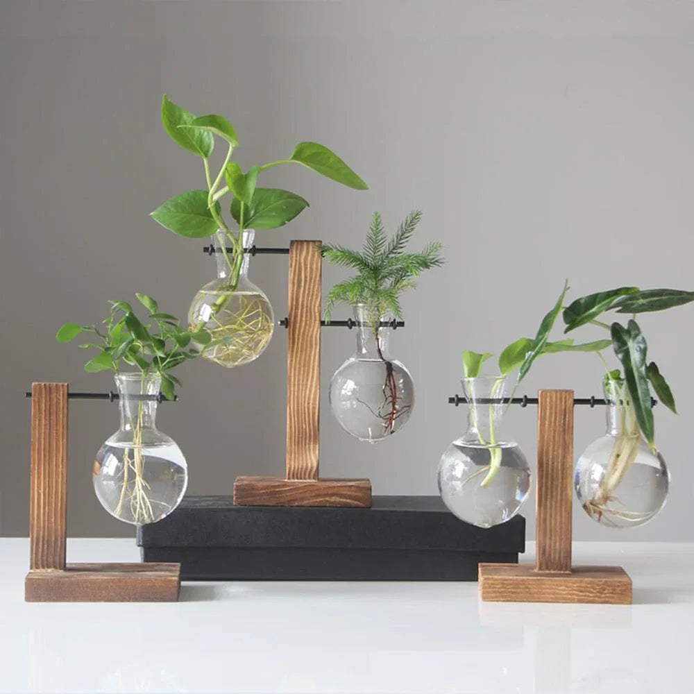 Glass Hydroponic Bud Vase