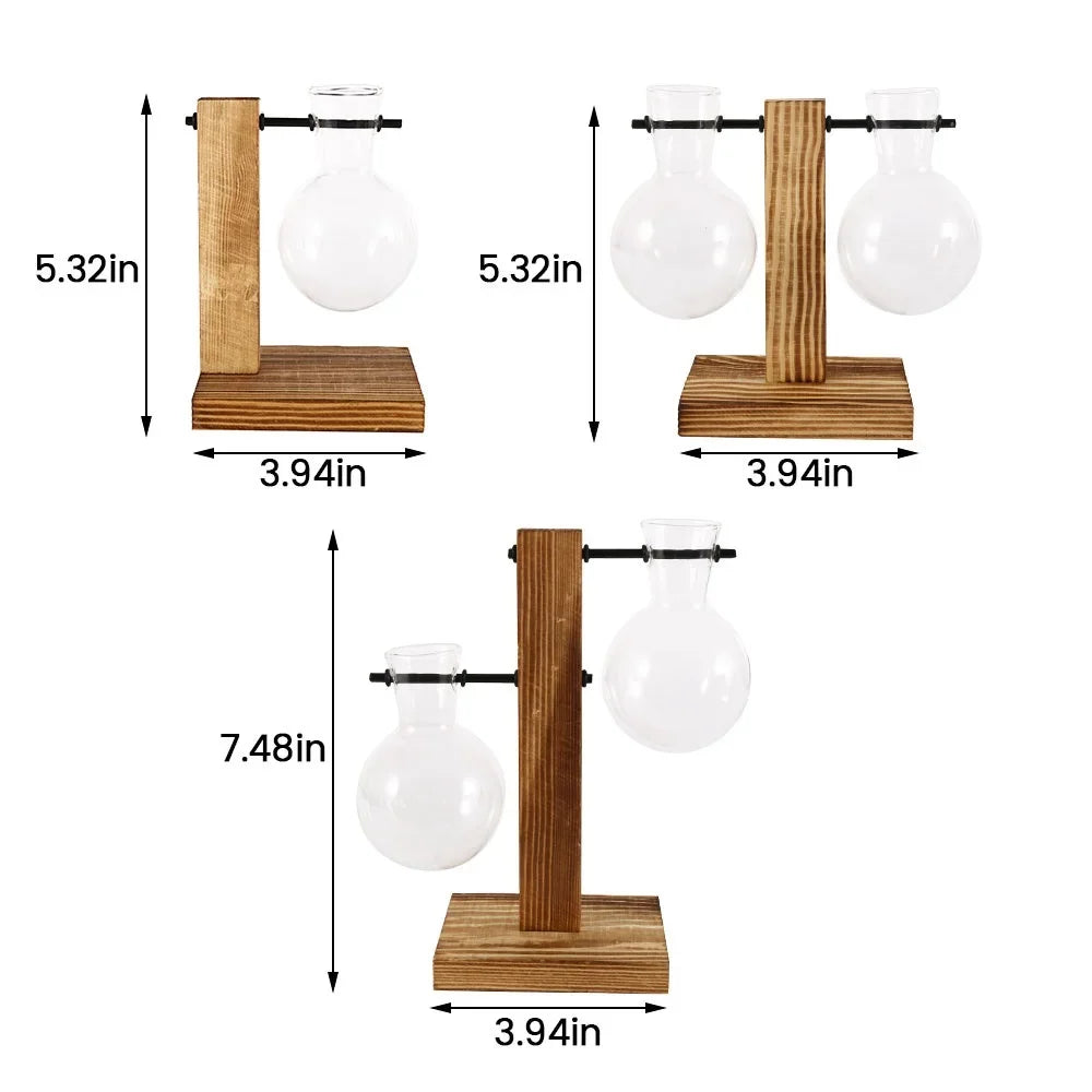 Glass Hydroponic Bud Vase