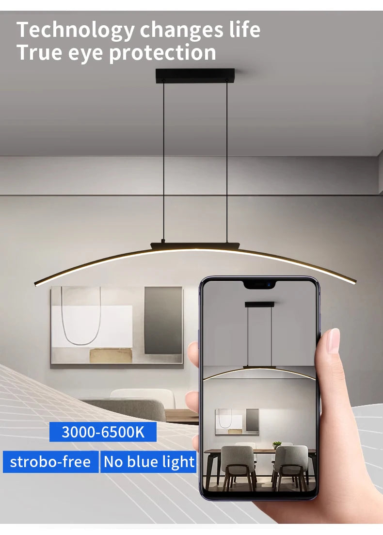 Contemporary Arc Pendant Lamp
