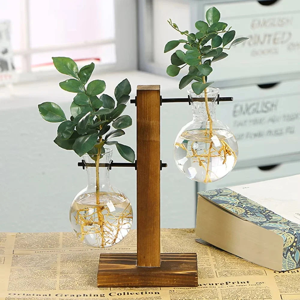 Glass Hydroponic Bud Vase