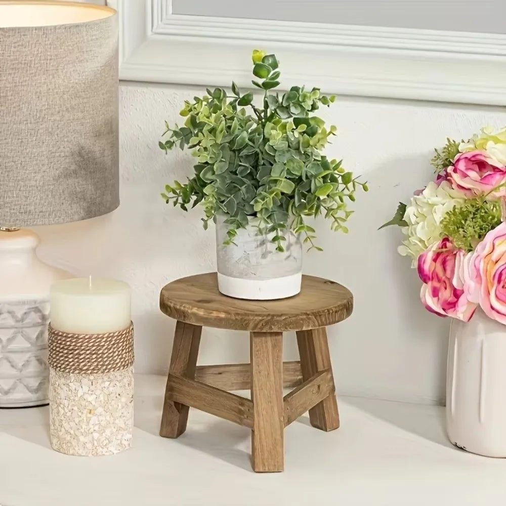 Multi-Tier Plant Stand