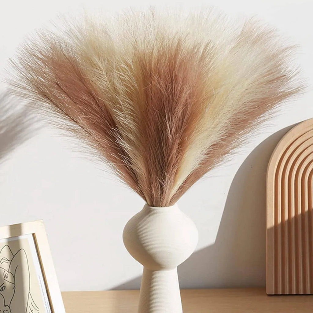 Pampas Grass Stems