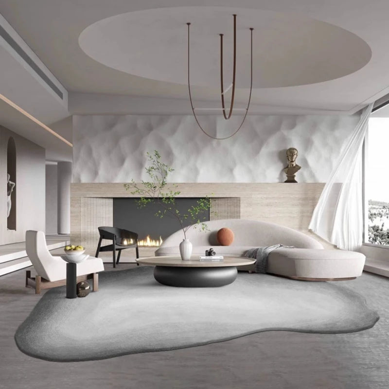 Washable Plush Area Rug