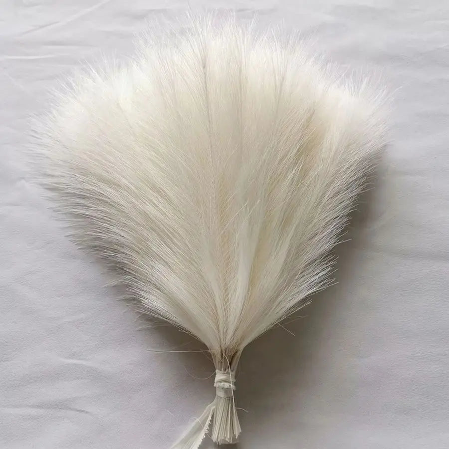 Pampas Grass Stems