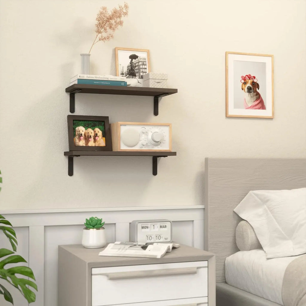 Floating Wall Shelf Set