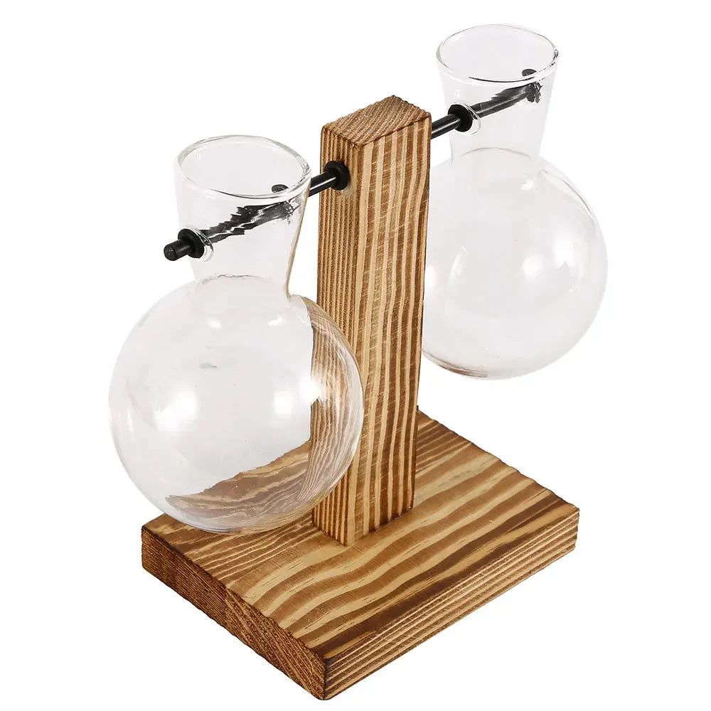 Glass Hydroponic Bud Vase