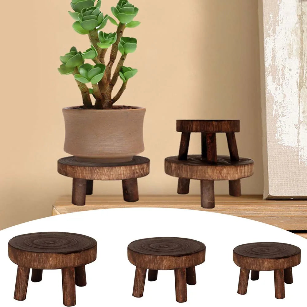 Multi-Tier Plant Stand