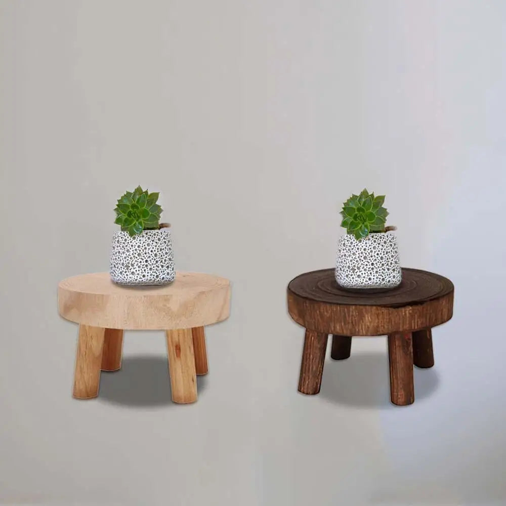 Multi-Tier Plant Stand