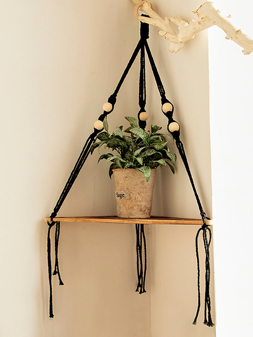 Floating Corner Wall Shelf