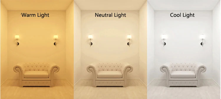 Modern Arc Pendant Lamp