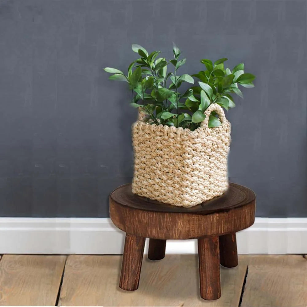 Multi-Tier Plant Stand