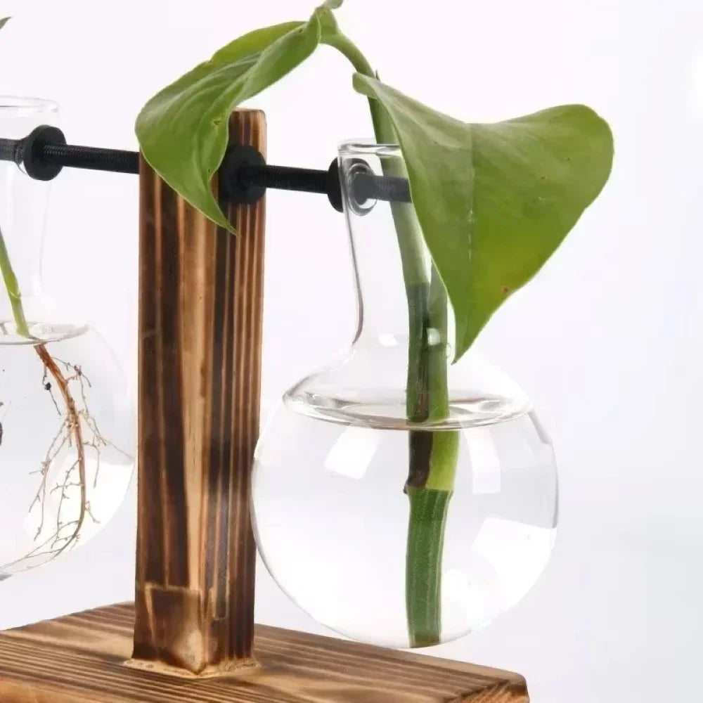 Glass Hydroponic Bud Vase
