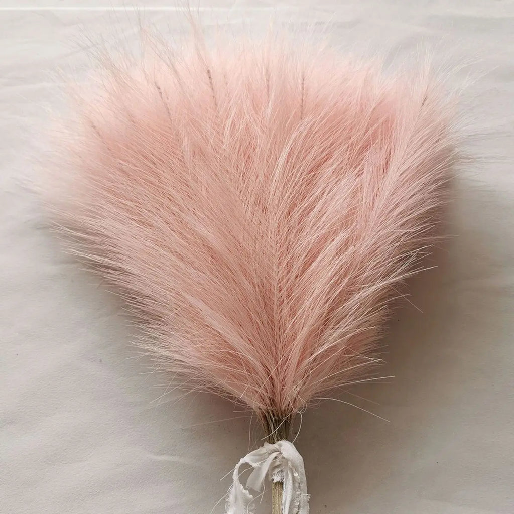 Pampas Grass Stems