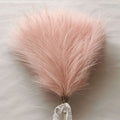 Pampas Grass Stems