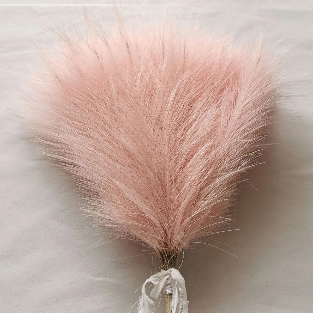 Pampas Grass Stems