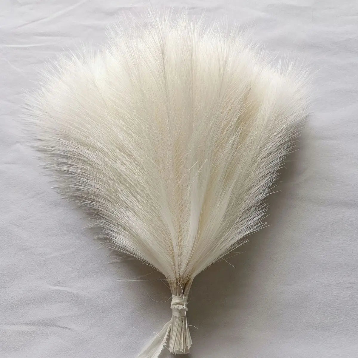 Pampas Grass Stems
