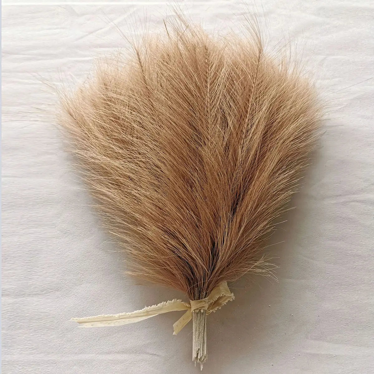 Pampas Grass Stems