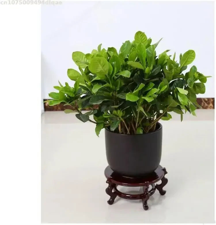 Wood Plant Stand