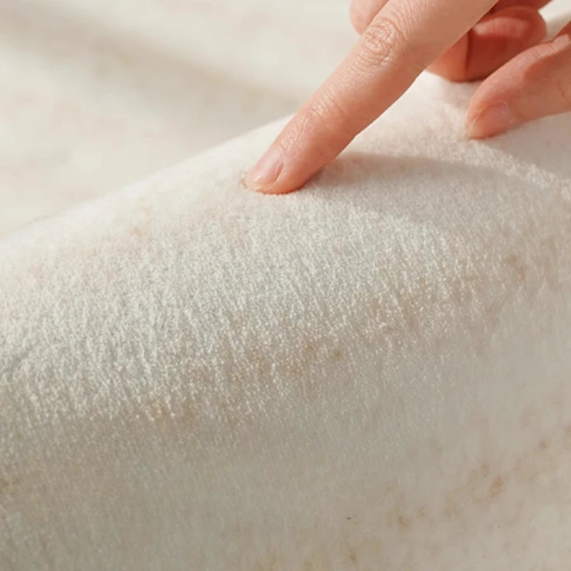 Washable Plush Area Rug