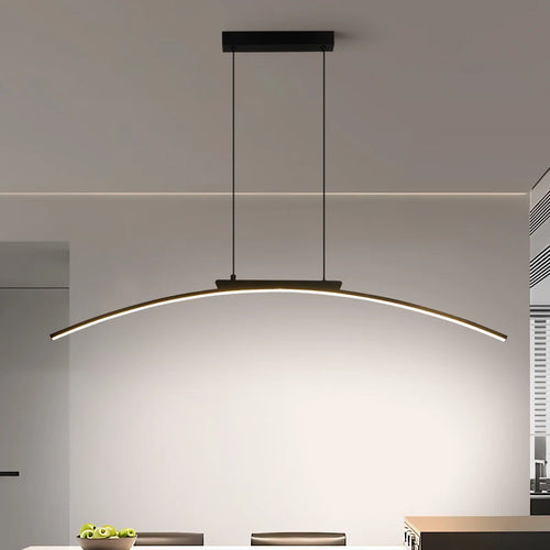 Contemporary Arc Pendant Lamp