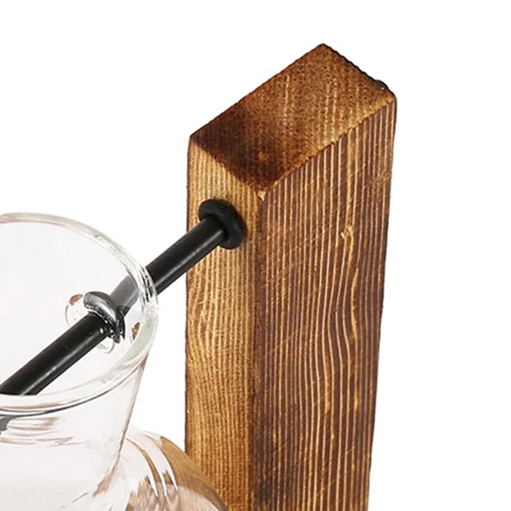 Glass Hydroponic Bud Vase