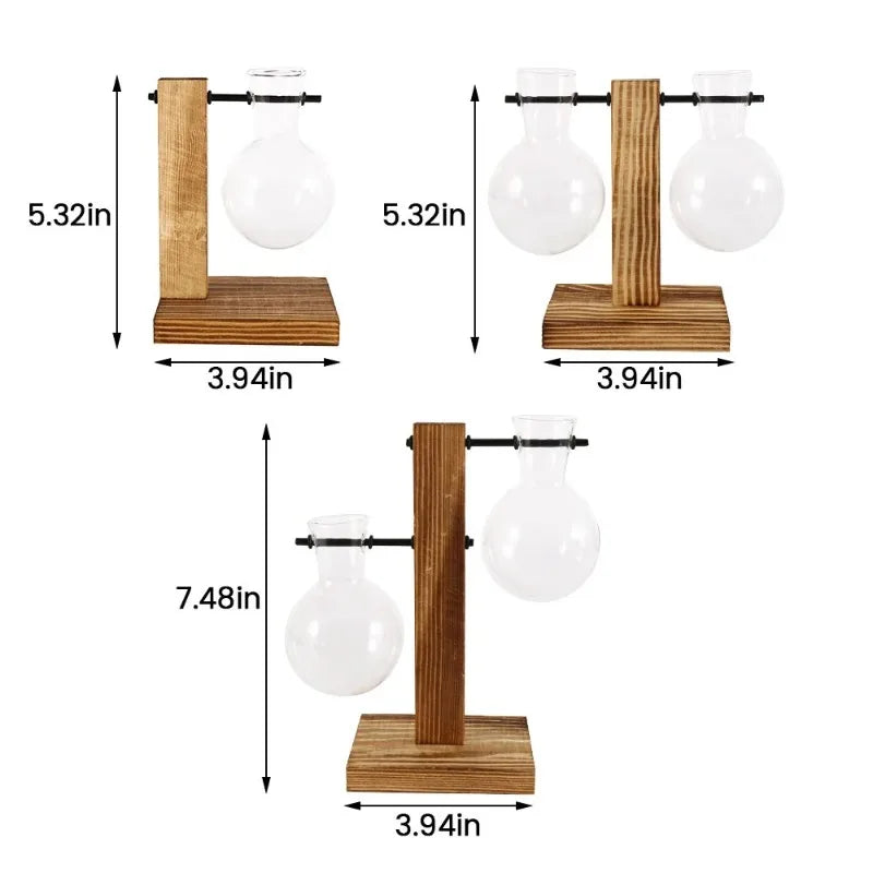 Glass Hydroponic Bud Vase