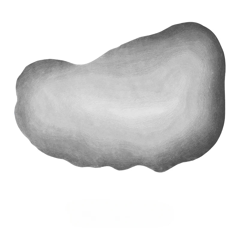 Washable Plush Area Rug