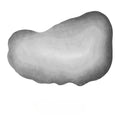 Washable Plush Area Rug