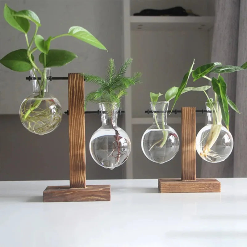 Glass Hydroponic Bud Vase