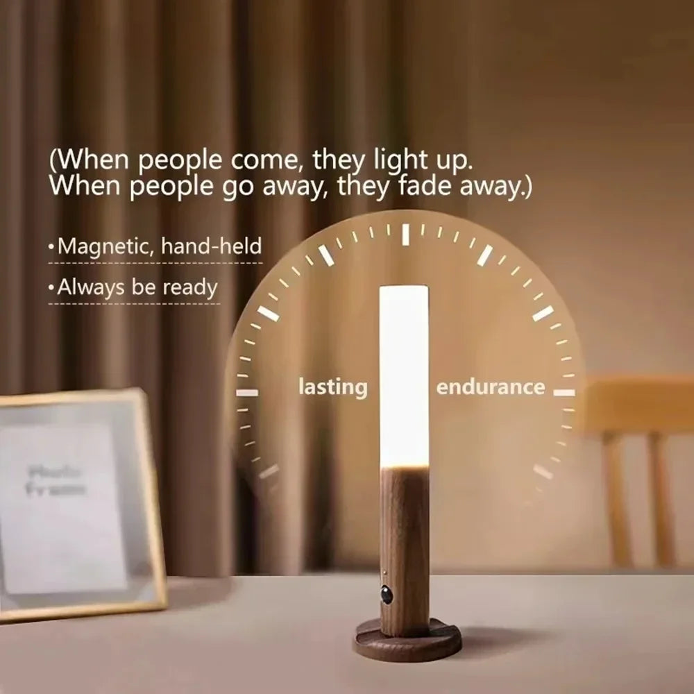 Rechargeable Wall Sconce Light